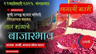 #लालकांदा भाव सुधारला.आजचे बाजारभाव @Shetikatta_yt #pimpalgoankandamarket #pyaj #farming