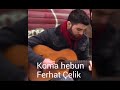 yakışıklı sanatçı ferhat Çelik..harika klip. Şarkı koma hebun