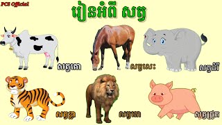 រៀនអំពីសត្វ រូបភាពសត្វ មើលរូបសត្វ សត្វស្រុក សត្វព្រៃ