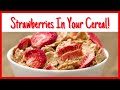 freeze dried strawberries from garden to how to use them