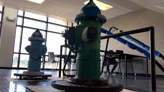 Painting Fire Hydrants for College