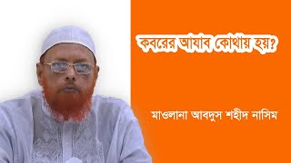 কবরের আযাব কোথায় হয় ? - মাওলানা আবদুস শহীদ নাসিম