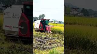 Mini harvaster  mashine and agricultural #agricultral #youtubeshorts