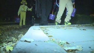 Law enforcement operation targets sex offenders during Halloween