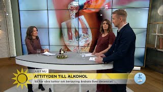 ”Allt fler tycker det är ok att bli full framför barnen” - Nyhetsmorgon (TV4)