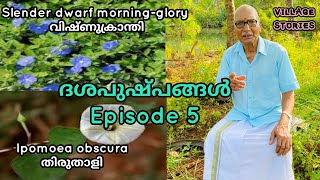 ദശപുഷ്പങ്ങളെ പരിചയപ്പെടാം. Episode 5: വിഷ്ണുക്രാന്തി \u0026 തിരുതാളി