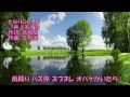 となりのトトロ 井上あずみ instrumental 歌詞tonarino totoro azumi inoue