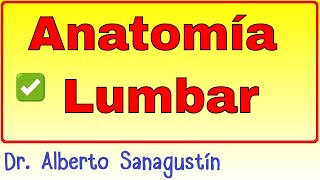 Anatomía Lumbar