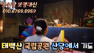 [보명대신] 태백산 국립공원 산당에서 기도 / 예약문의 010-6769-8959