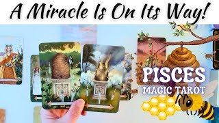 A Miracle Is On Its Way!🦩🌈Pisces Magic Tarot♓