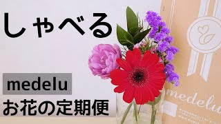 【開封\u0026レビュー】お花の定期便「medelu」/そのコースにした理由