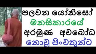 MDM2653 පලවන යෝනිසෝ මනසිකාරයේ අරමුණ මෙතෙක් අවබෝධ නොවූ පිංවතුන්ට (SUA513)