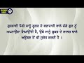 ਦੇਖੋ ਕੁੱਤੇ ਦਾ ਕਿਹੜਾ ਗੁਣ ਧਾਰਨ ਕਰਨਾ ਚਾਹੀਦਾ ਹੈ ਕੁੱਤੇ ਤੋਂ ਸਾਨੂੰ ਕੀ ਸਿਖਿਆ ਲੈਣੀ ਚਾਹੀਦੀ ਹੈ