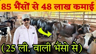 Earning 48 lakhs from buffaloes as heavy as elephants and giving 25 litres of milk | Highest Milk...