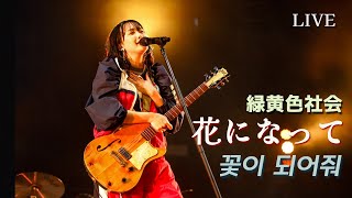 緑黄色社会 녹황색사회  -  꽃이 되어 花になって LIVE (가사/해석) Japan JAM 2024