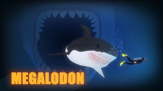 What really happened to Megalodon Shark ? How much do you really know about Megalodon ?