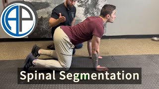 Spinal Segmentation