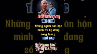 Tỉnh thức giải thoát #thichminhtue #doanvanbau #lekhagiap #lequangha #suminhtue #tu #phucnhanduong