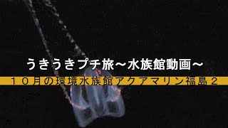 うきうきプチ旅～水族館動画～　１０月の環境水族館アクアマリン福島２