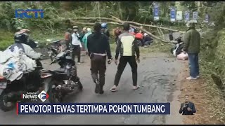 Akibat Angin Kencang, Pemotor Tewas Tertimpa Pohon Pinus di Bandung #SeputariNewsSiang 05/02