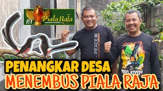 Penangkar Murai Batu Dari Desa Yang Sukses Menembus Dua Besar Piala Raja Tahun 2019