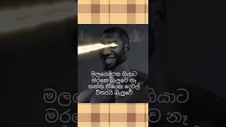 අම්බෝ....🤣🤣🤣 මේවා සිරා සීන් #funny #trending #sinhalamemes