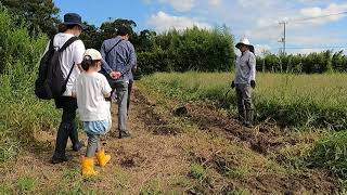 味覚の秋です！！！さつま芋収穫【ちょっと体験映像も】