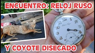 ME ENCUENTRO RELOJ RUSO Y COYOTE DISECADO