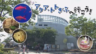 ぎふ県政ほっとライン「アクア・トトぎふへ行こう！～企画展　きんトト今昔物語ー時代を彩る金魚たちー～」