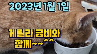 2023년 1월 1일 일요일  23년 첫날 잠시 게릴라 방송으로 수다즐겨봐요   #양재꽃시장 #식물튜브 #수다