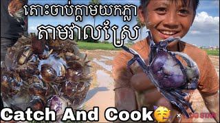 បេសកម្មដើររកក្តាមតាមវាលស្រែ\\Catch And Cook Crab At Rice Field