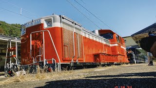 9135レDL群馬県民の日号DD51 895＋12系5B＋EF65 501