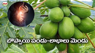 బొప్పాయి పండు ఆరోగ్యానికి ఔషధం  | Benefits Of Papaya | Telugu Health Tips