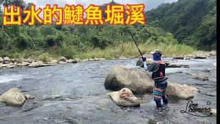 Creek fishing in Taiwan 來過坪林逮魚堀溪你會想再來