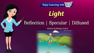 Reflection of Light | Diffused Reflection of Light | Light Properties | Reflection for Kids Science