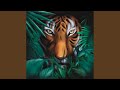 Interlude (Original Mix)