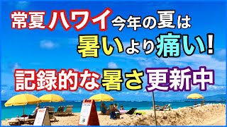 【常夏ハワイは今「暑い」より「痛い」】記録的な暑さは日本だけでなくハワイでも！気候の変動の影響はハワイでも大問題！昔のハワイはこんなじゃなかった！ハワイ住民が語るハワイの今［ハワイ最新速報ニュース］