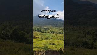 അട്ടപ്പാടിയിലെ സ്വർഗം #abbannur#attappadi #nature #palakkad #trending #travl