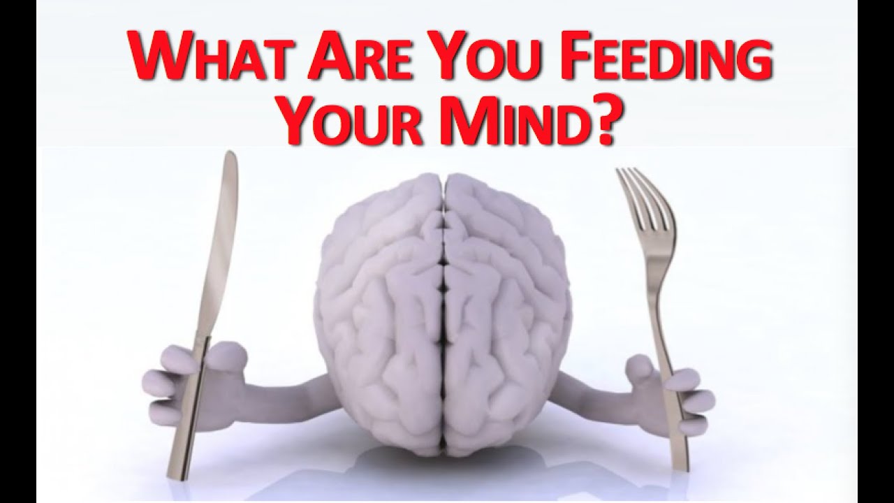 Feed Your Brain Quotes