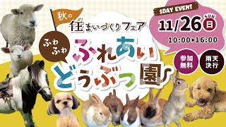 【11/26】ふわふわふれあい動物園 イベント