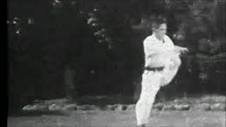 Old tekki shodan kata