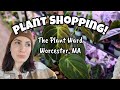 GORGEOUS NEW PLANTS IN STOCK!! 😮 Plant Shopping at The Plant Ward in Worcester, Massachusetts 🌿🩷