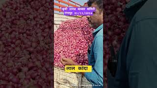 #आजचेकांदाबाजारभाव #कांदा #todayonion #gangapur #vegetableprices #farming #streetfood #royalशेतकरी