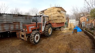 WE CARRY THE STRAW WE HIDE IN SUMMER, IN WINTER [GoPro]