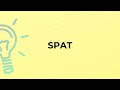 What is the meaning of the word SPAT?