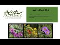 Wild Ones - Native Plant Q&A