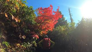 青森県　紅葉の旅　～八甲田登山～