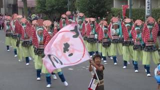 とき川連／駅北口通り会場／第16回 坂戸よさこい2016（初日）