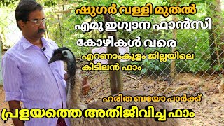 പ്രളയത്തെ അതിജീവിച്ച ഫാമിന്റെ ഇപ്പോഴത്തെ കാഴ്ചകൾ/Haritha bio park after flood/agri tech farming