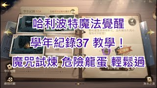 【哈利波特魔法覺醒】學年紀錄37 教學！｜魔咒試煉 危險龍蛋 輕鬆過！｜一次搞定懶人包！｜雞腿葛格